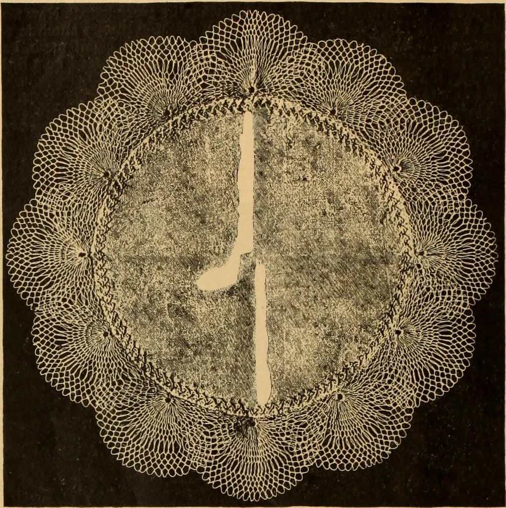 An illustration from Tatting and netting, 1895, leaf 129