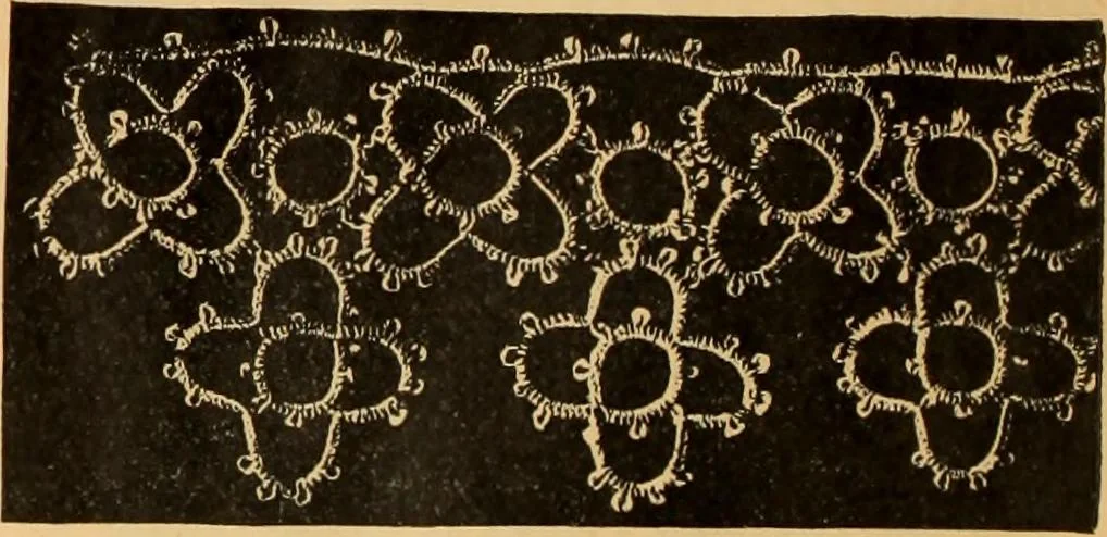 An illustration from Tatting and netting, 1895, leaf 13