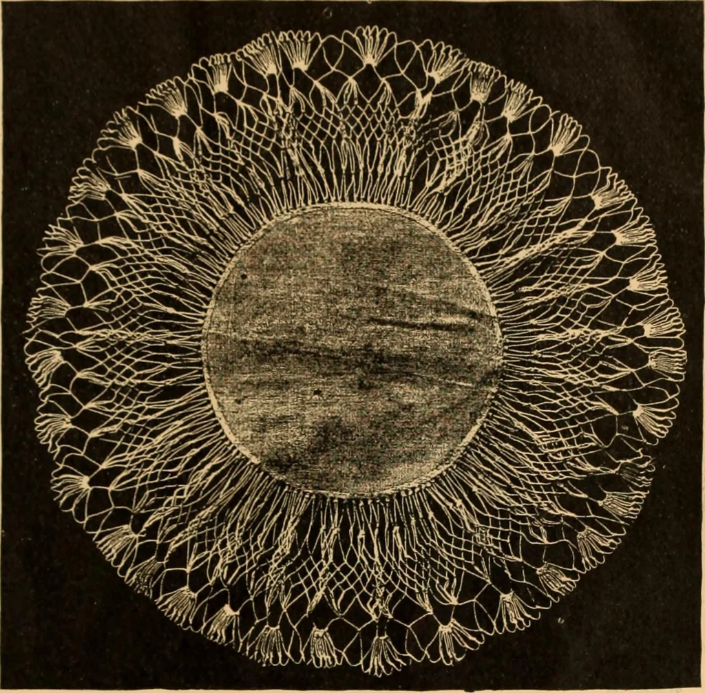 An illustration from Tatting and netting, 1895, leaf 132