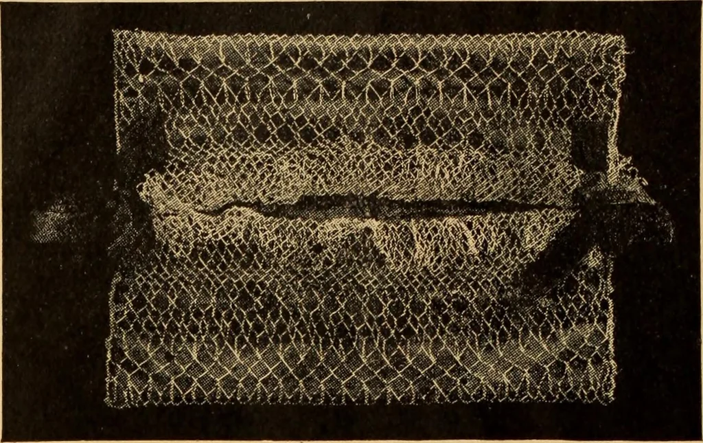 An illustration from Tatting and netting, 1895, leaf 139