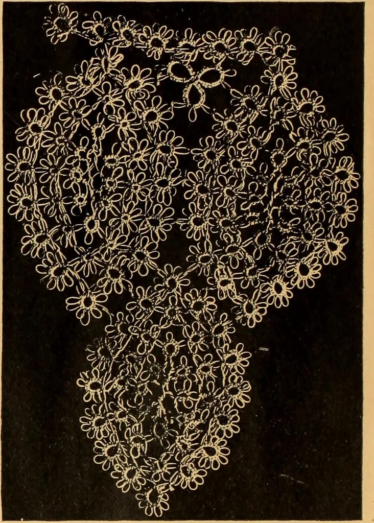 An illustration from Tatting and netting, 1895, leaf 21