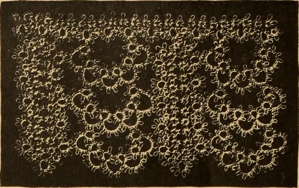 An illustration from Tatting and netting, 1895, leaf 23