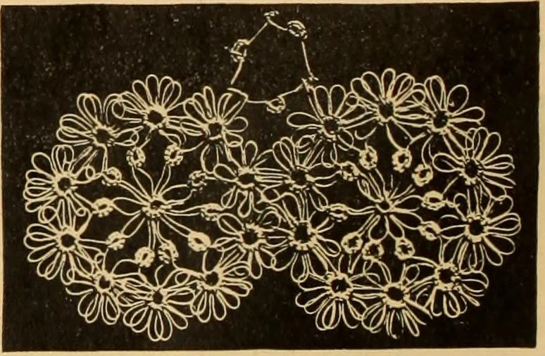 An illustration from Tatting and netting, 1895, leaf 31
