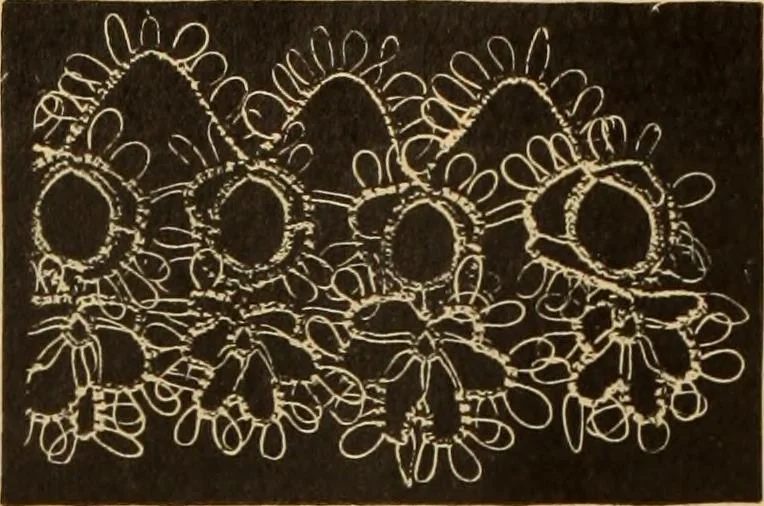 An illustration from Tatting and netting, 1895, leaf 35