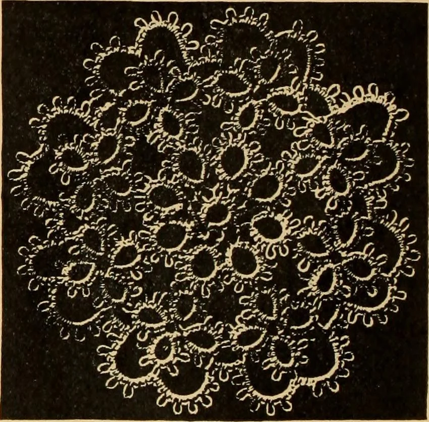 An illustration from Tatting and netting, 1895, leaf 47