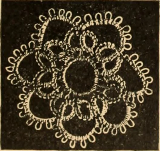 An illustration from Tatting and netting, 1895, leaf 48