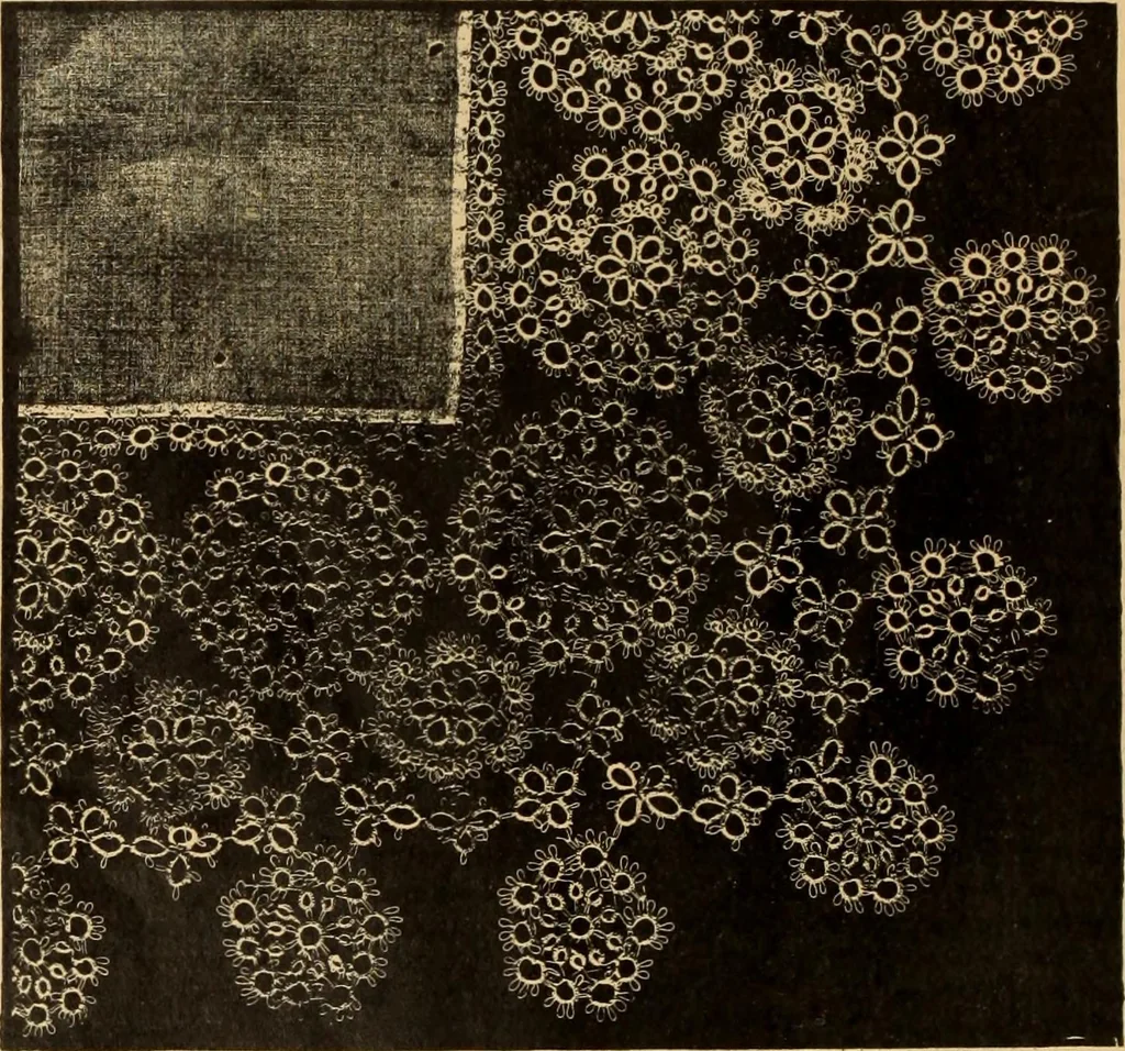 An illustration from Tatting and netting, 1895, leaf 49