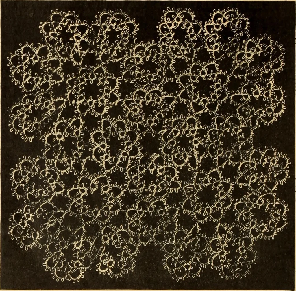 An illustration from Tatting and netting, 1895, leaf 67