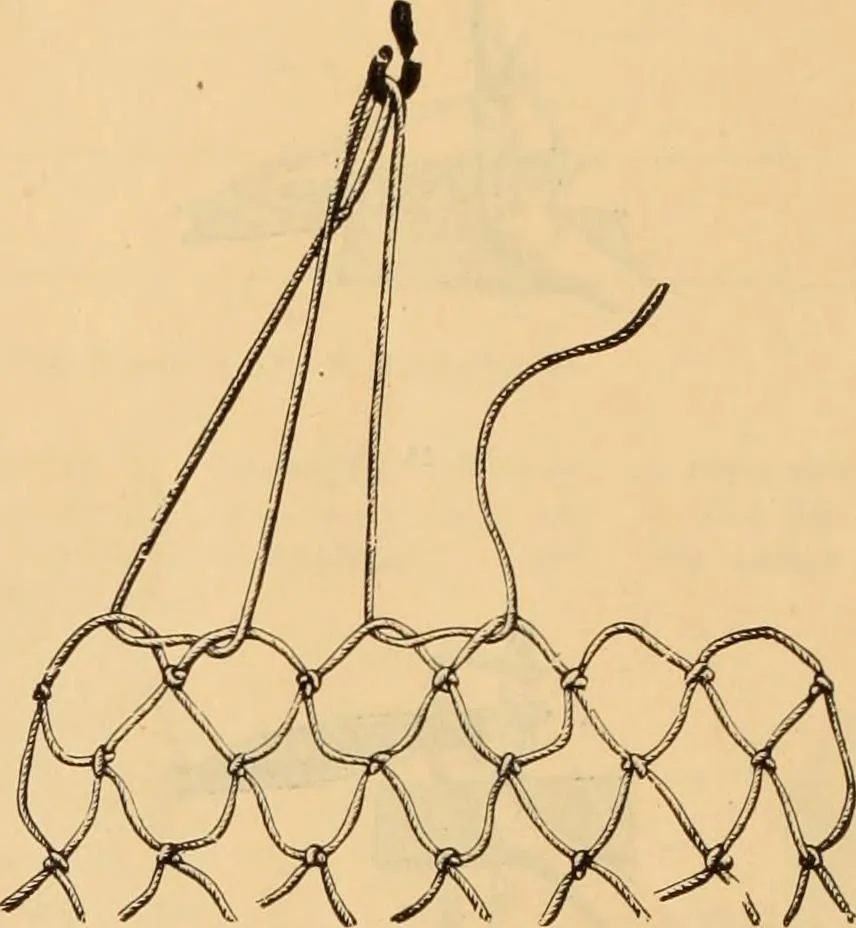 An illustration from Tatting and netting, 1895, leaf 83