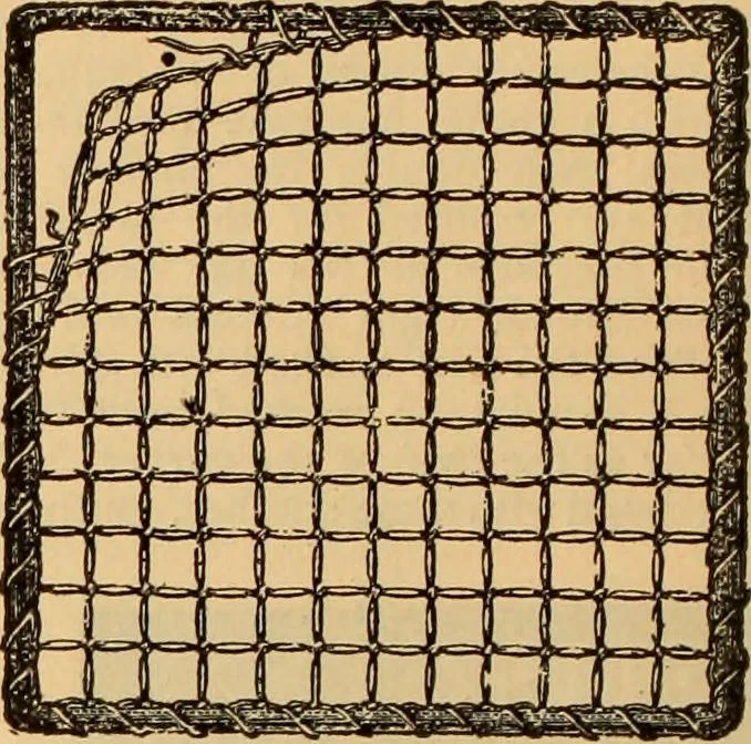 An illustration from Tatting and netting, 1895, leaf 87