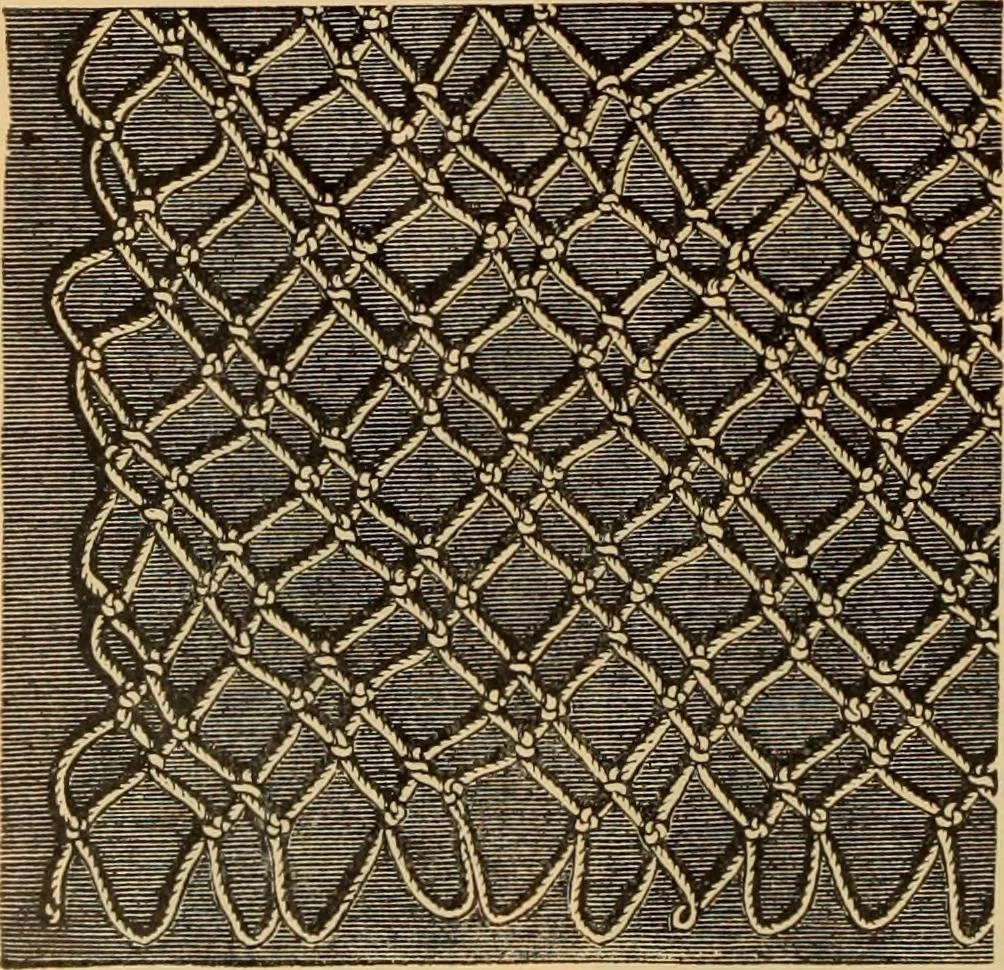 An illustration from Tatting and netting, 1895, leaf 89