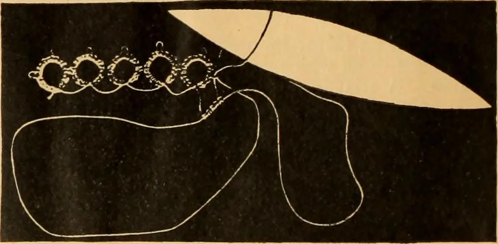 An illustration from Tatting and netting, 1895, leaf 9