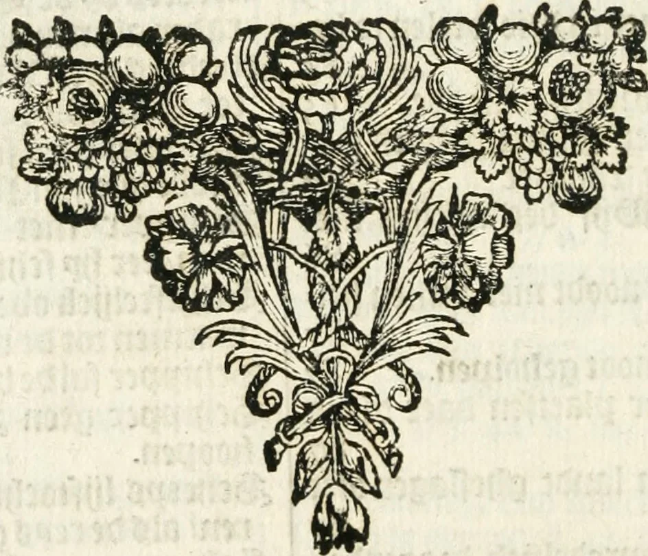 An illustration from 't Boeck der zee-rechten, inhoudende dat hooghste ende oudtste Godtlantsche water-recht, dat de gemeene kooplieden ende schippers geordineert ende gemaeckt hebben tot Wisbuy. De zee-rechten gemaeckt by keyser Carel, als mede die gemaeckt zijn ten tijde van koninck Philippus de Derde, mede inhoudende seeckere ordonnantie op't stuck van de asseurantien, bodemerije, ende toerustinge van schepen. Mitsgaders de schips-rechten, gemaeckt by de oude Hanze-steden. Noch zijn hier by-gevoeght de willekeuren en costuymen van de binnenlants-vaerders, van Amsterdam, Antwerpen, Middelburgh, Rotterdam, Dordrecht, Haerlem, Uytrecht, ende Leyden. Item van de buytenlandts-vaerders, van Rouan, Lonnen, ende Hamburgh, &c. Noch een korte instructie ende ordonnantie voor de commissarissen t'Amsteiredamme van de zee-vaert. In dese laetste druck noch vermeerdert met een nieuwe ordonnantie van 't pael-geldt, 1678, leaf 15
