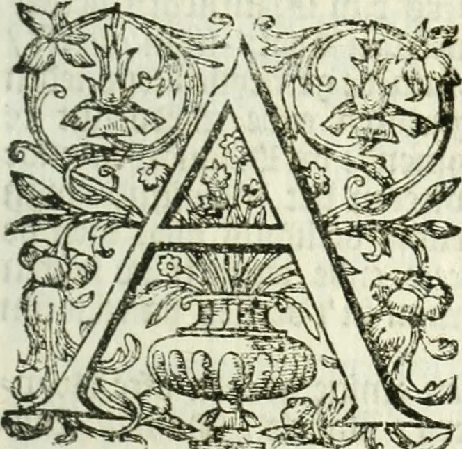 An illustration from 't Boeck der zee-rechten, inhoudende dat hooghste ende oudtste Godtlantsche water-recht, dat de gemeene kooplieden ende schippers geordineert ende gemaeckt hebben tot Wisbuy. De zee-rechten gemaeckt by keyser Carel, als mede die gemaeckt zijn ten tijde van koninck Philippus de Derde, mede inhoudende seeckere ordonnantie op't stuck van de asseurantien, bodemerije, ende toerustinge van schepen. Mitsgaders de schips-rechten, gemaeckt by de oude Hanze-steden. Noch zijn hier by-gevoeght de willekeuren en costuymen van de binnenlants-vaerders, van Amsterdam, Antwerpen, Middelburgh, Rotterdam, Dordrecht, Haerlem, Uytrecht, ende Leyden. Item van de buytenlandts-vaerders, van Rouan, Lonnen, ende Hamburgh, &c. Noch een korte instructie ende ordonnantie voor de commissarissen t'Amsteiredamme van de zee-vaert. In dese laetste druck noch vermeerdert met een nieuwe ordonnantie van 't pael-geldt, 1678, leaf 174