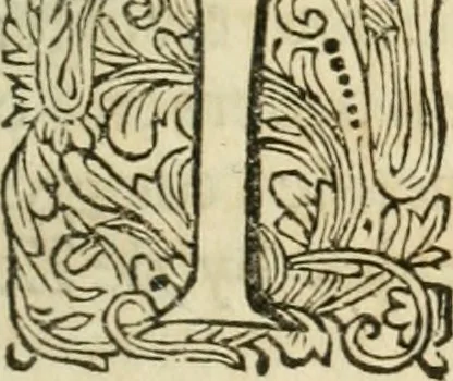 An illustration from 't Boeck der zee-rechten, inhoudende dat hooghste ende oudtste Godtlantsche water-recht, dat de gemeene kooplieden ende schippers geordineert ende gemaeckt hebben tot Wisbuy. De zee-rechten gemaeckt by keyser Carel, als mede die gemaeckt zijn ten tijde van koninck Philippus de Derde, mede inhoudende seeckere ordonnantie op't stuck van de asseurantien, bodemerije, ende toerustinge van schepen. Mitsgaders de schips-rechten, gemaeckt by de oude Hanze-steden. Noch zijn hier by-gevoeght de willekeuren en costuymen van de binnenlants-vaerders, van Amsterdam, Antwerpen, Middelburgh, Rotterdam, Dordrecht, Haerlem, Uytrecht, ende Leyden. Item van de buytenlandts-vaerders, van Rouan, Lonnen, ende Hamburgh, &c. Noch een korte instructie ende ordonnantie voor de commissarissen t'Amsteiredamme van de zee-vaert. In dese laetste druck noch vermeerdert met een nieuwe ordonnantie van 't pael-geldt, 1678, leaf 344