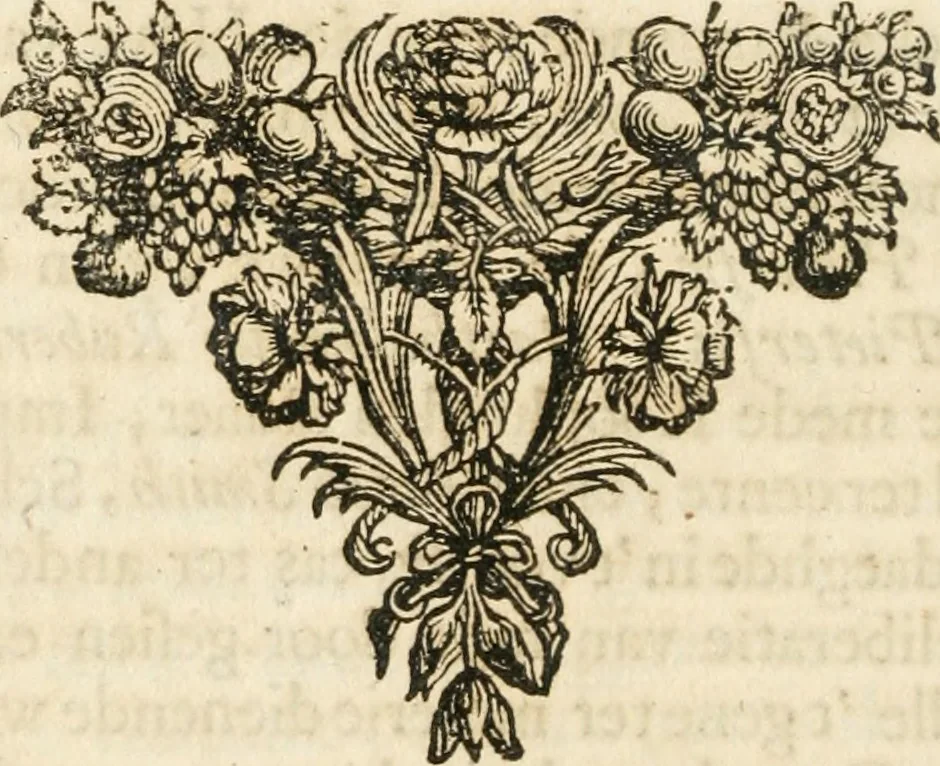 An illustration from 't Boeck der zee-rechten, inhoudende dat hooghste ende oudtste Godtlantsche water-recht, dat de gemeene kooplieden ende schippers geordineert ende gemaeckt hebben tot Wisbuy. De zee-rechten gemaeckt by keyser Carel, als mede die gemaeckt zijn ten tijde van koninck Philippus de Derde, mede inhoudende seeckere ordonnantie op't stuck van de asseurantien, bodemerije, ende toerustinge van schepen. Mitsgaders de schips-rechten, gemaeckt by de oude Hanze-steden. Noch zijn hier by-gevoeght de willekeuren en costuymen van de binnenlants-vaerders, van Amsterdam, Antwerpen, Middelburgh, Rotterdam, Dordrecht, Haerlem, Uytrecht, ende Leyden. Item van de buytenlandts-vaerders, van Rouan, Lonnen, ende Hamburgh, &c. Noch een korte instructie ende ordonnantie voor de commissarissen t'Amsteiredamme van de zee-vaert. In dese laetste druck noch vermeerdert met een nieuwe ordonnantie van 't pael-geldt, 1678, leaf 399