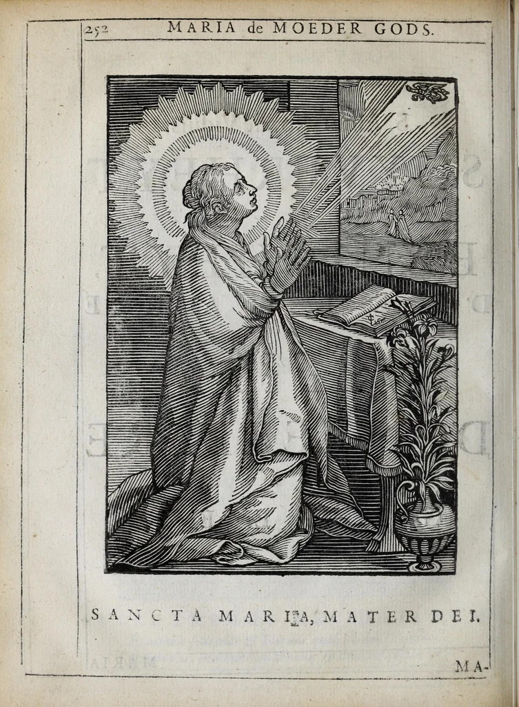 An illustration from 'tBosch der eremyten ende eremitinnen, van Aegypten ende Palestinen, 1644, leaf 268