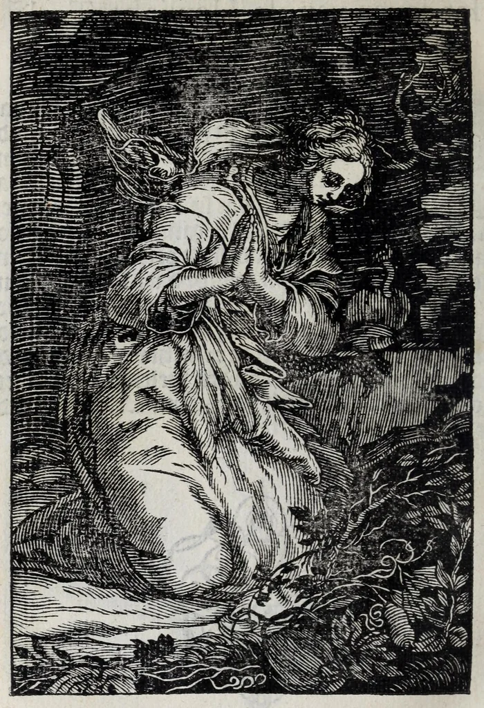An illustration from 'tBosch der eremyten ende eremitinnen, van Aegypten ende Palestinen, 1644, leaf 280
