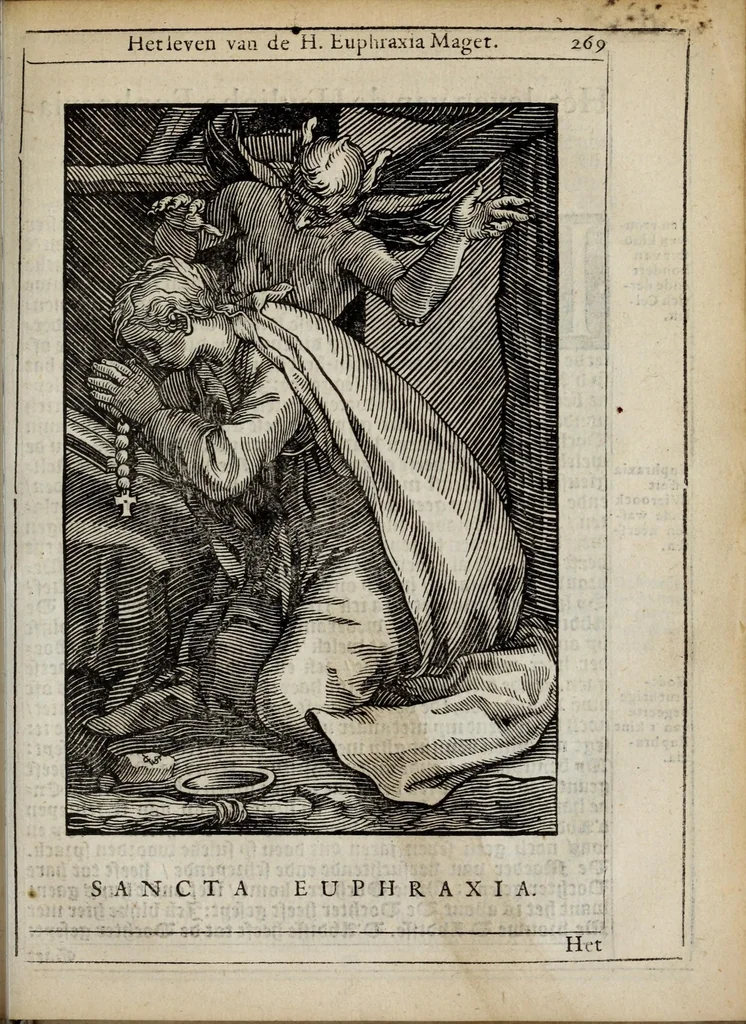 An illustration from 'tBosch der eremyten ende eremitinnen, van Aegypten ende Palestinen, 1644, leaf 285