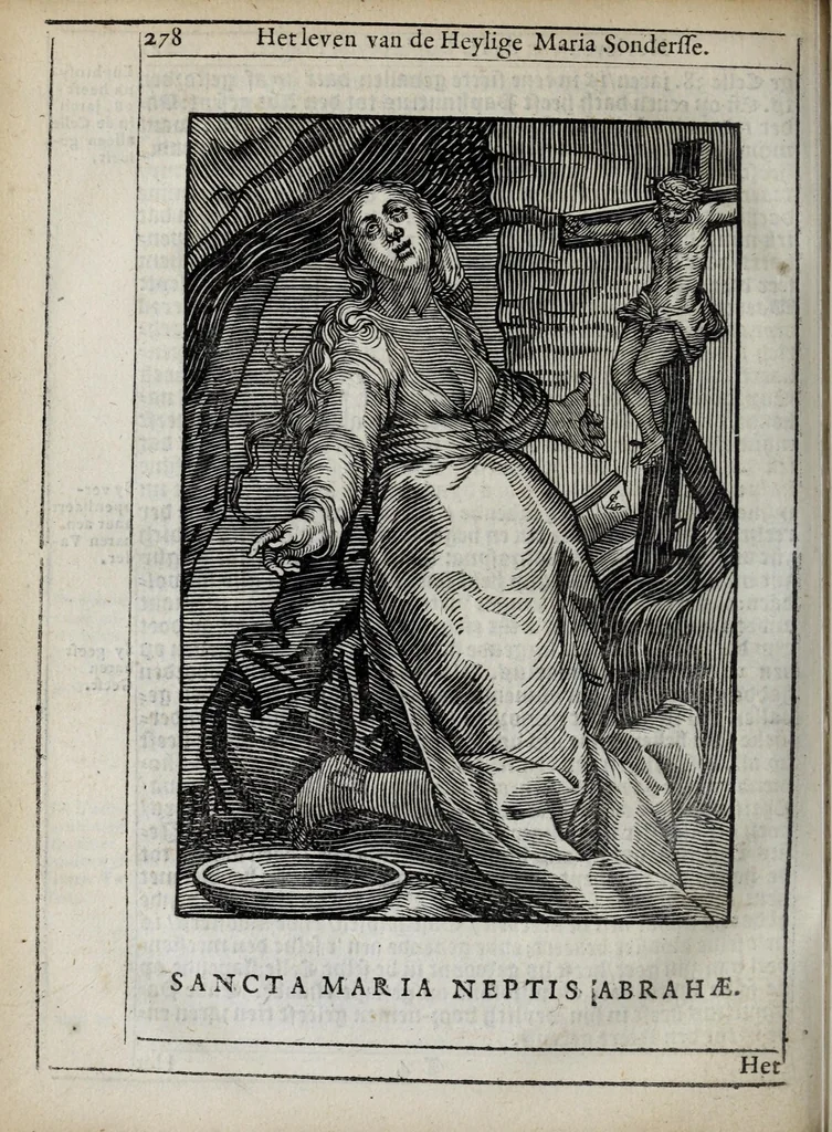 An illustration from 'tBosch der eremyten ende eremitinnen, van Aegypten ende Palestinen, 1644, leaf 294