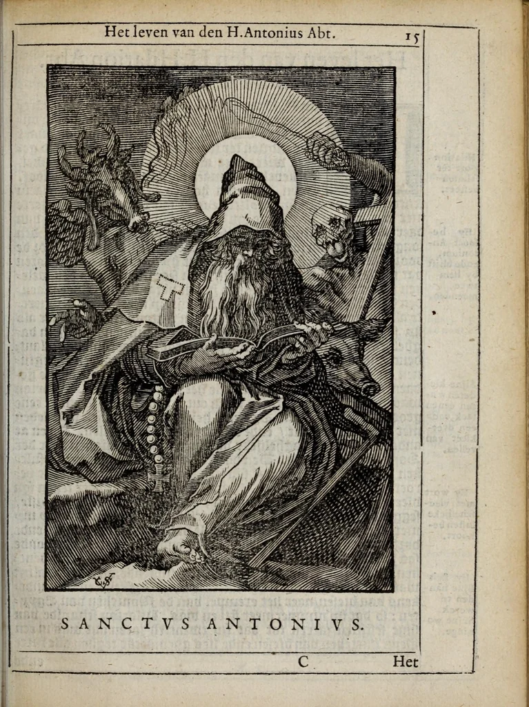 An illustration from 'tBosch der eremyten ende eremitinnen, van Aegypten ende Palestinen, 1644, leaf 31