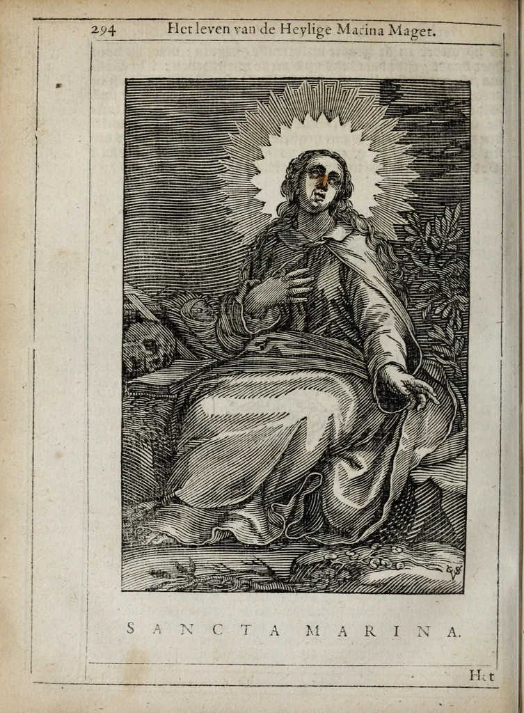 An illustration from 'tBosch der eremyten ende eremitinnen, van Aegypten ende Palestinen, 1644, leaf 310