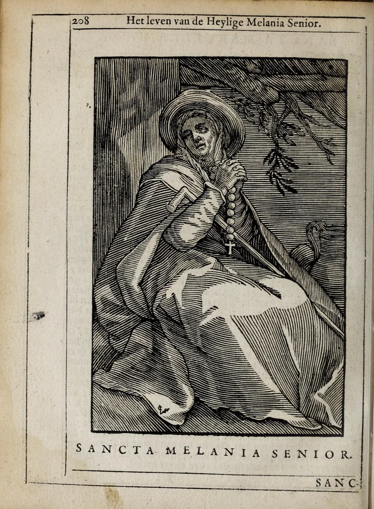 An illustration from 'tBosch der eremyten ende eremitinnen, van Aegypten ende Palestinen, 1644, leaf 324