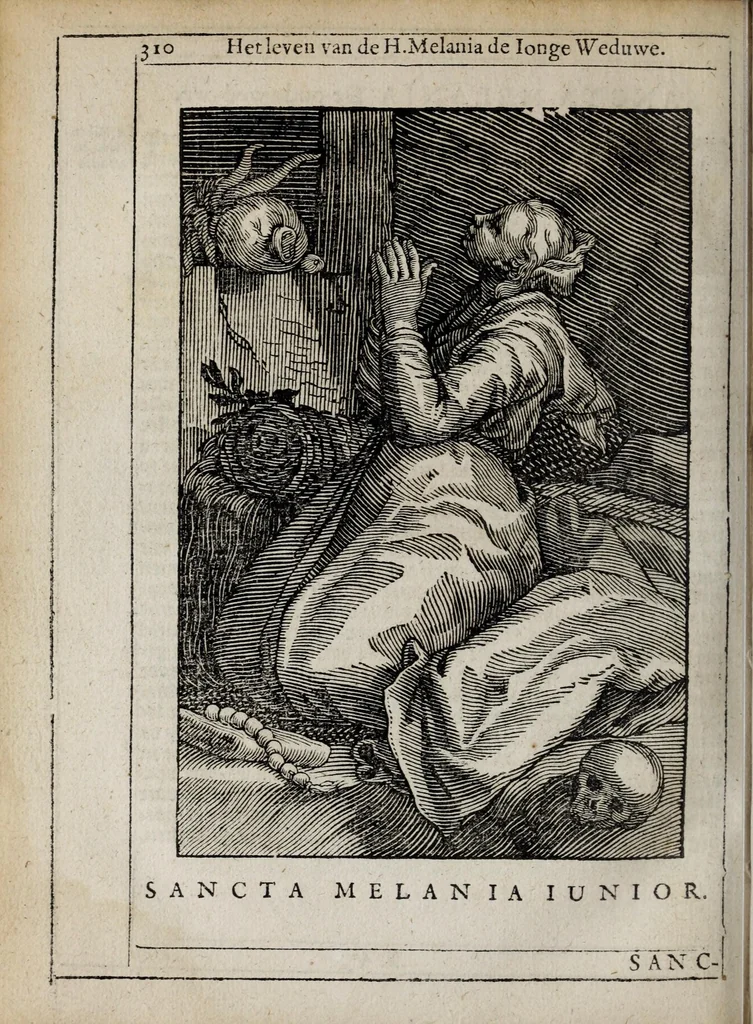 An illustration from 'tBosch der eremyten ende eremitinnen, van Aegypten ende Palestinen, 1644, leaf 326