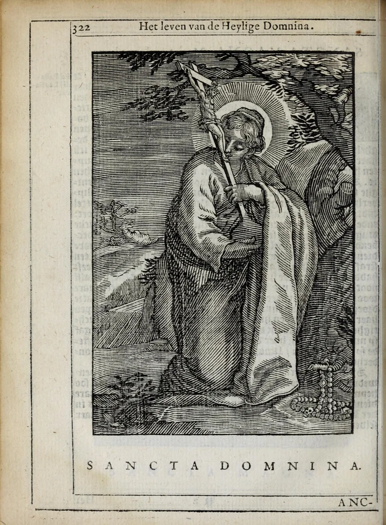 An illustration from 'tBosch der eremyten ende eremitinnen, van Aegypten ende Palestinen, 1644, leaf 338