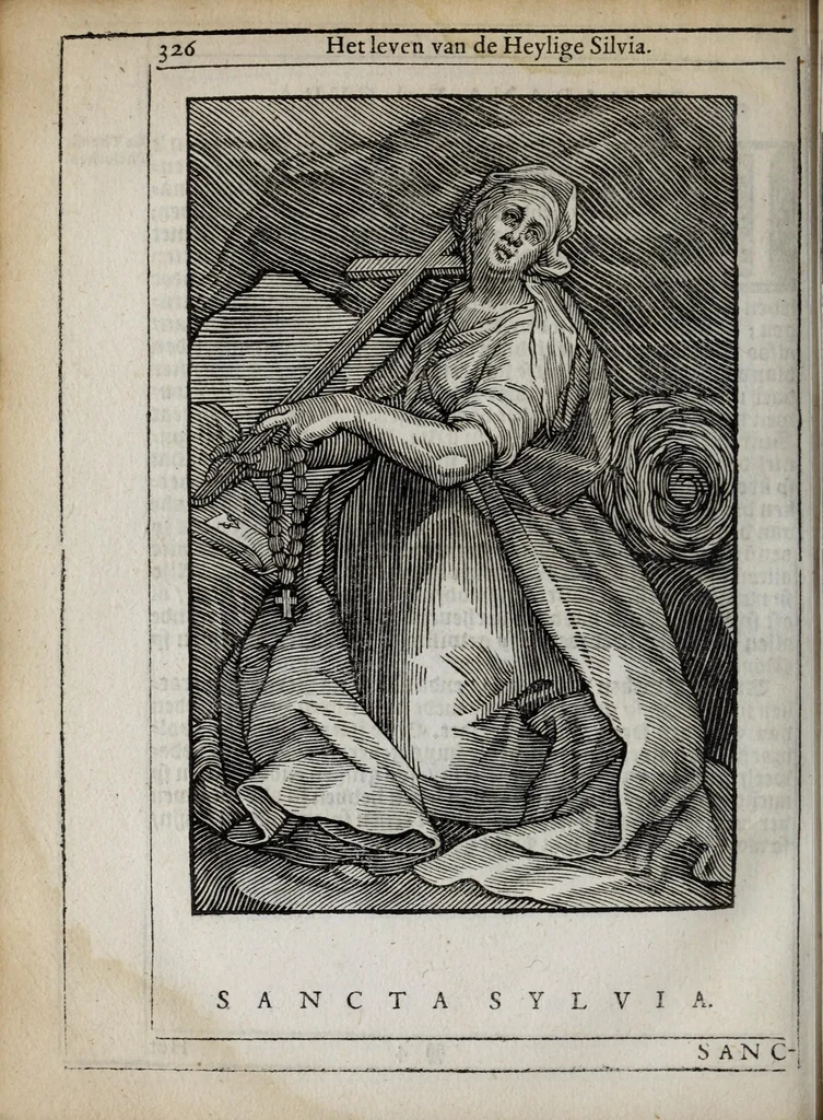 An illustration from 'tBosch der eremyten ende eremitinnen, van Aegypten ende Palestinen, 1644, leaf 342