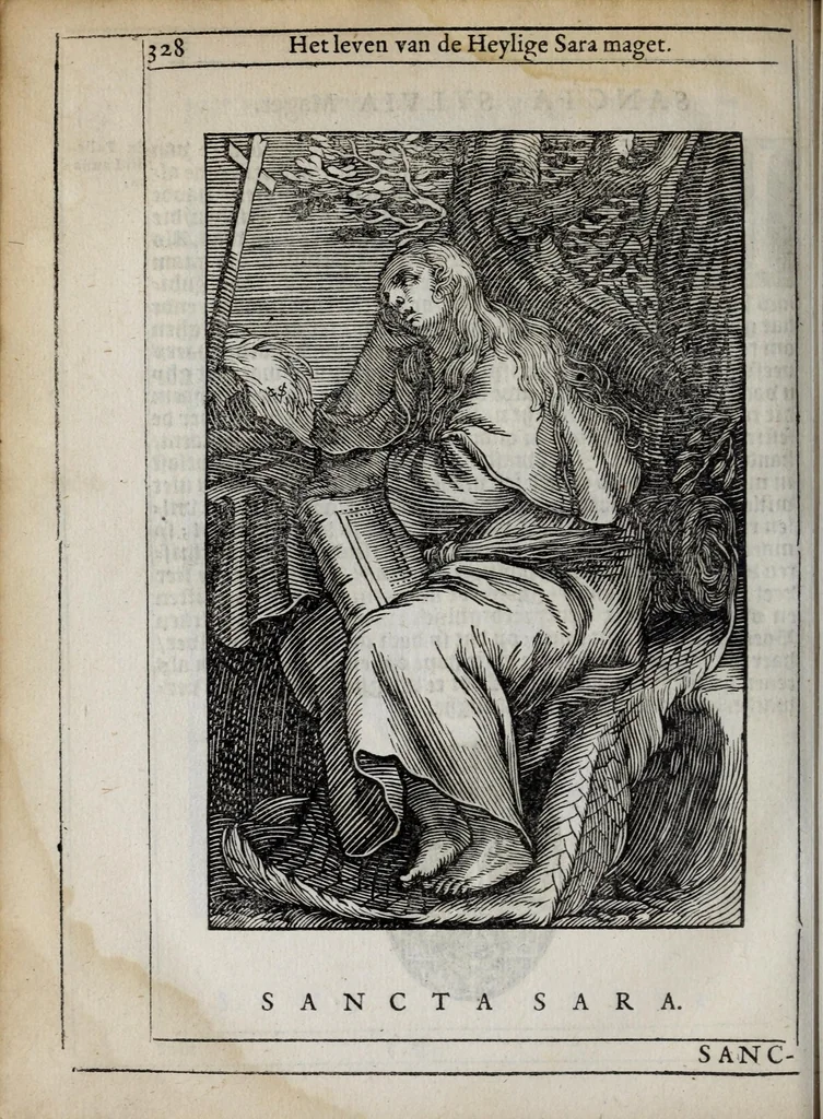 An illustration from 'tBosch der eremyten ende eremitinnen, van Aegypten ende Palestinen, 1644, leaf 344