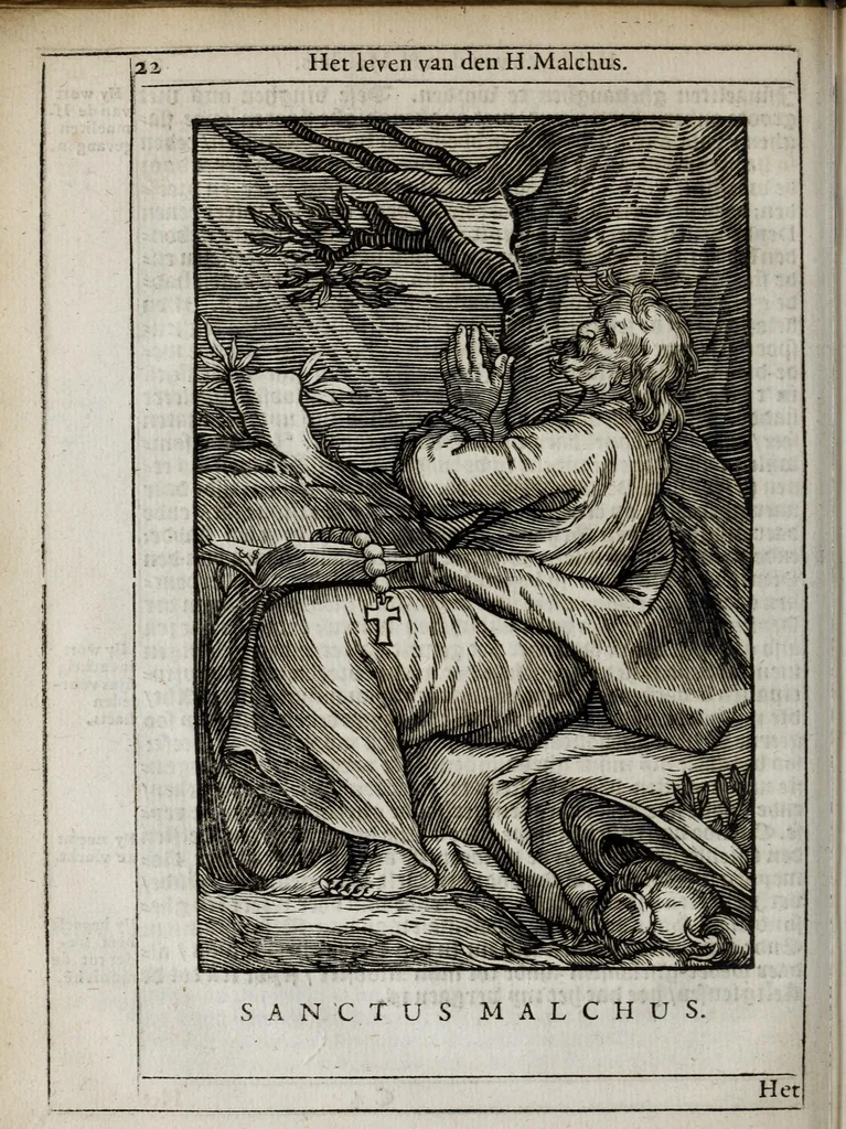 An illustration from 'tBosch der eremyten ende eremitinnen, van Aegypten ende Palestinen, 1644, leaf 38