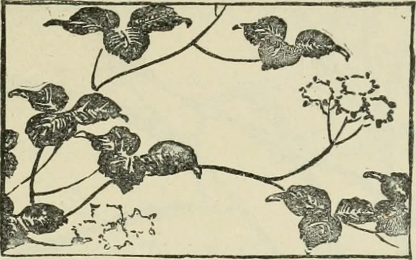 An illustration from Teacher's manual for Prang's new graded course in drawing for Canadian schools, 1901, leaf 30