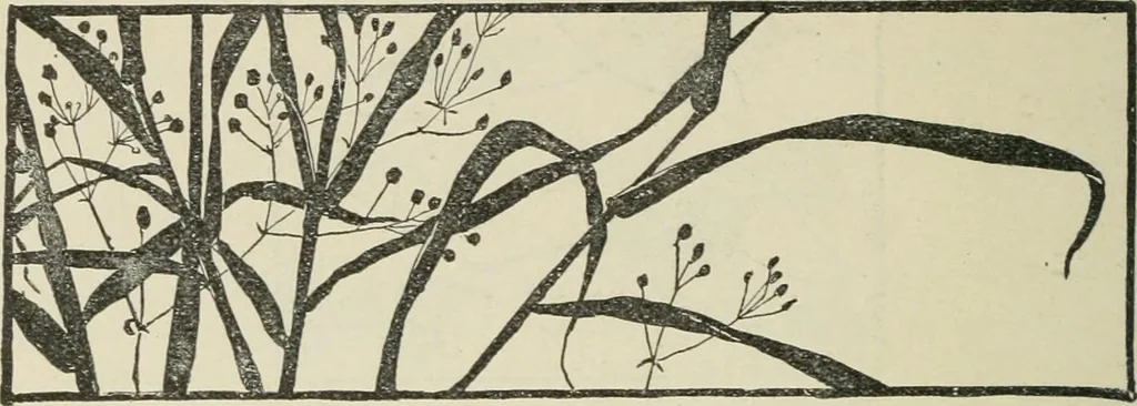 An illustration from Teacher's manual for Prang's new graded course in drawing for Canadian schools, 1901, leaf 31