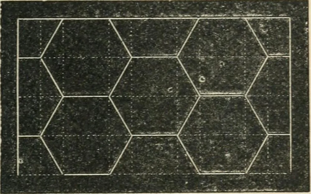 An illustration from Teacher's manual for freehand drawing in intermediate schools, 1876, leaf 104