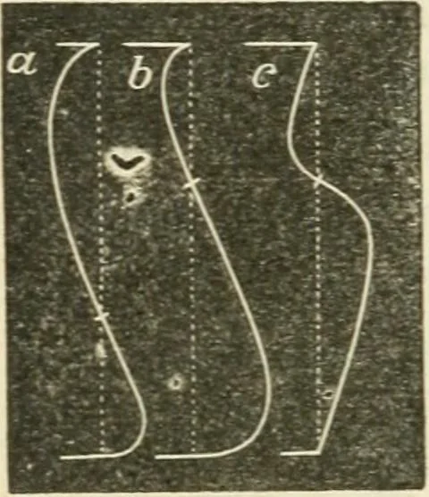 An illustration from Teacher's manual for freehand drawing in intermediate schools, 1876, leaf 137