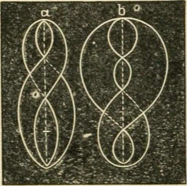An illustration from Teacher's manual for freehand drawing in intermediate schools, 1876, leaf 147