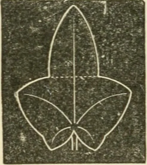 An illustration from Teacher's manual for freehand drawing in intermediate schools, 1876, leaf 167