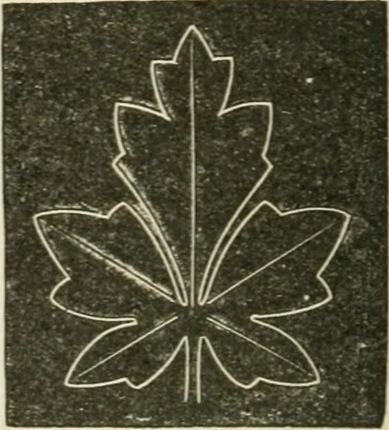 An illustration from Teacher's manual for freehand drawing in intermediate schools, 1876, leaf 179