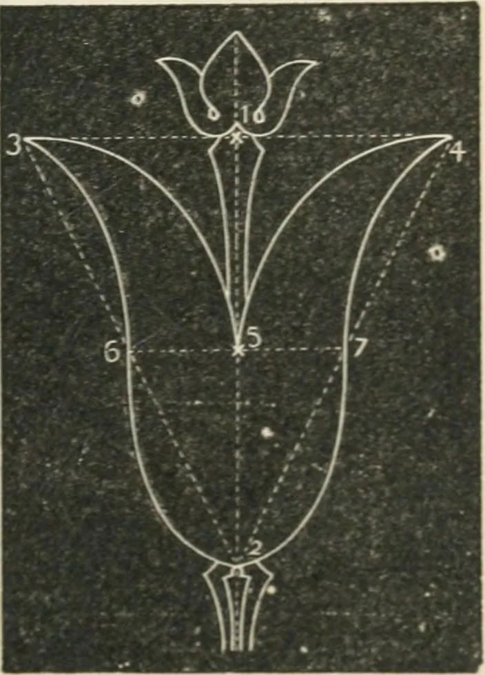 An illustration from Teacher's manual for freehand drawing in intermediate schools, 1876, leaf 192