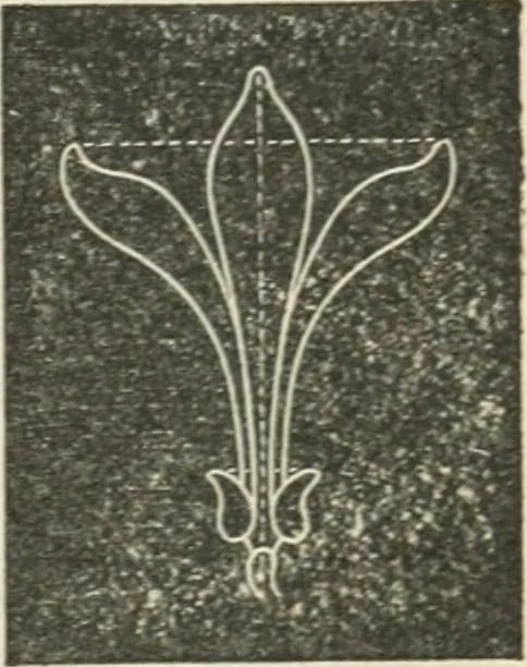 An illustration from Teacher's manual for freehand drawing in intermediate schools, 1876, leaf 194