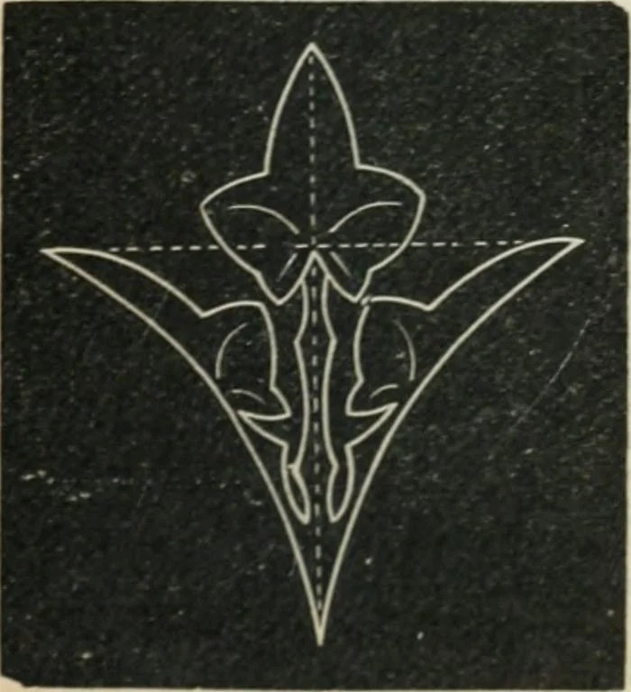 An illustration from Teacher's manual for freehand drawing in intermediate schools, 1876, leaf 210