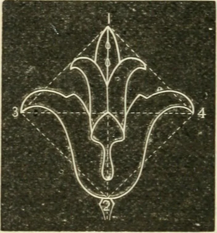 An illustration from Teacher's manual for freehand drawing in intermediate schools, 1876, leaf 215