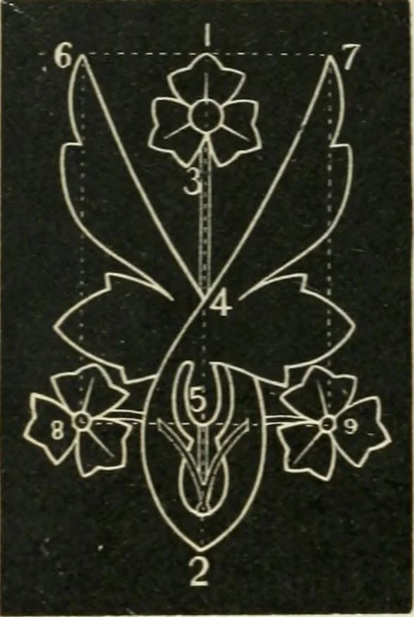 An illustration from Teacher's manual for freehand drawing in intermediate schools, 1876, leaf 217