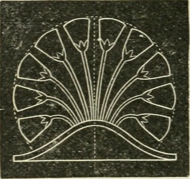 An illustration from Teacher's manual for freehand drawing in intermediate schools, 1876, leaf 225