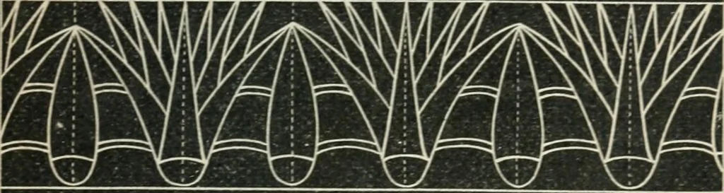 An illustration from Teacher's manual for freehand drawing in intermediate schools, 1876, leaf 234