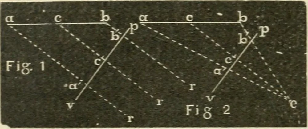 An illustration from Teacher's manual for freehand drawing in intermediate schools, 1876, leaf 259