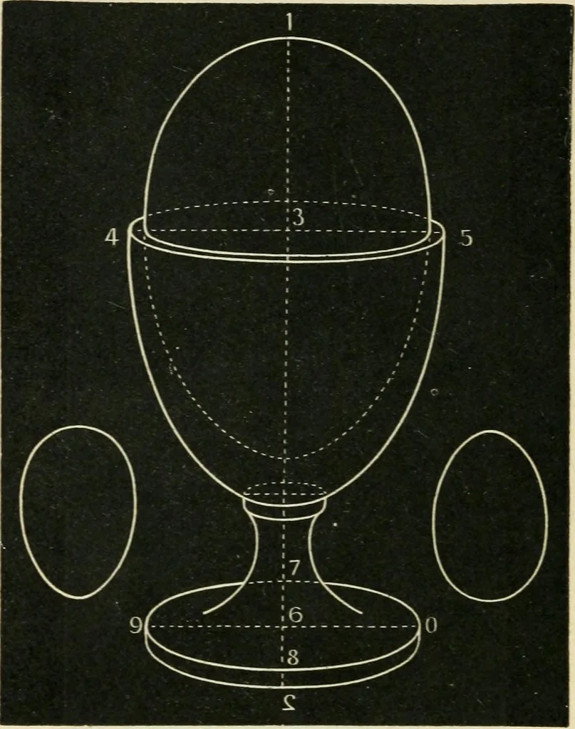 An illustration from Teacher's manual for freehand drawing in intermediate schools, 1876, leaf 283