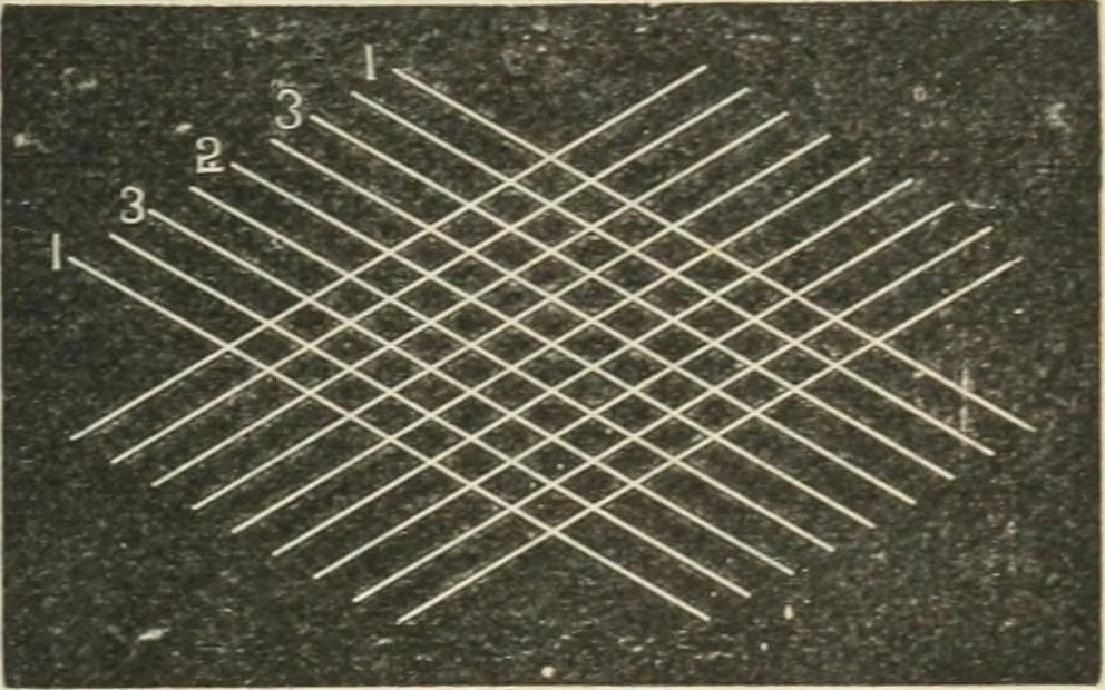 An illustration from Teacher's manual for freehand drawing in intermediate schools, 1876, leaf 52