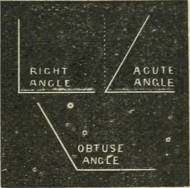 An illustration from Teacher's manual for freehand drawing in intermediate schools, 1876, leaf 62